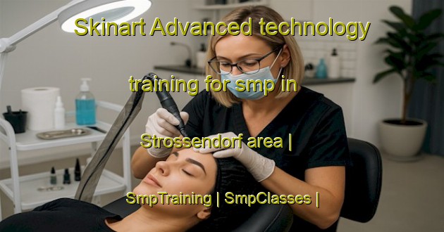 Skinart Advanced technology training for smp in Strossendorf area | SmpTraining | SmpClasses | SkinartTraining-Germany